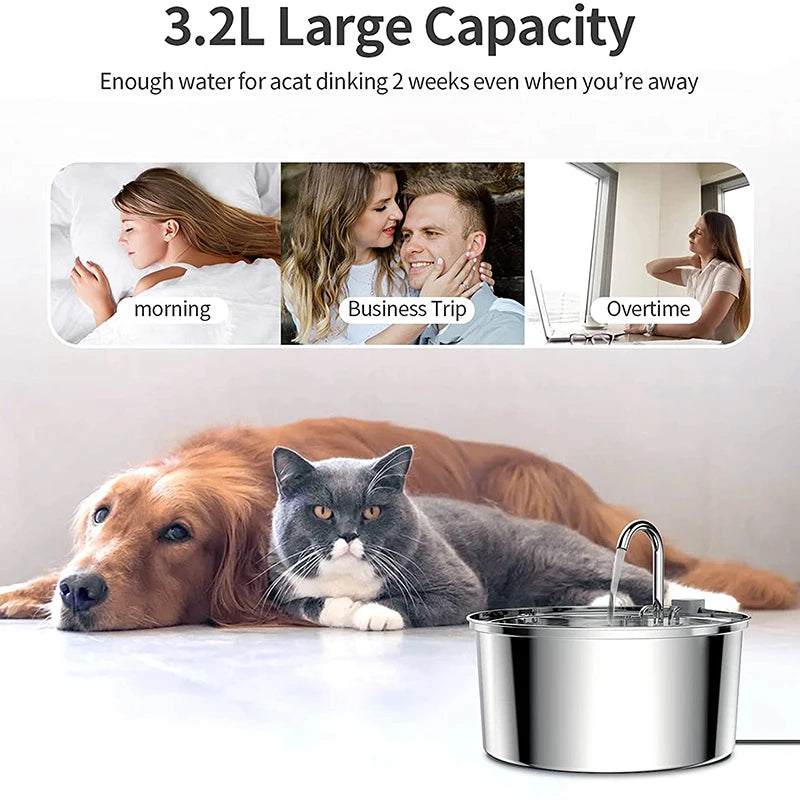 3.2L Cat Automatic Water Dispenser